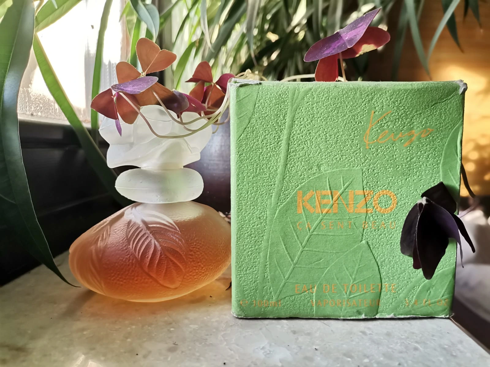 Ça Sent Beau Kenzo – Parfum